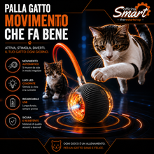 MATTA GATTO • MOVIMENTO CHE FA BENE