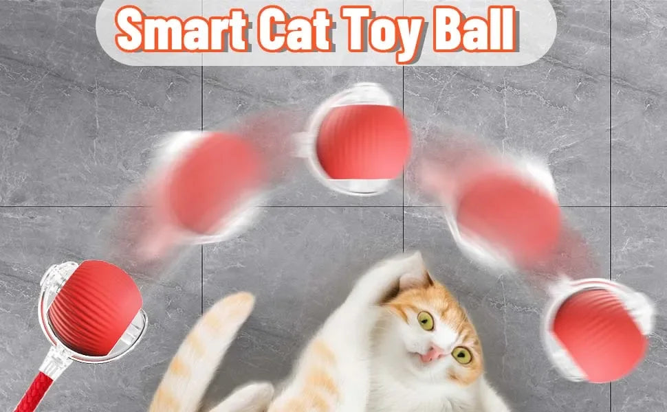 PALLINA AUTOMATICA PER GATTO - GIOCATTOLO INTERATTIVO