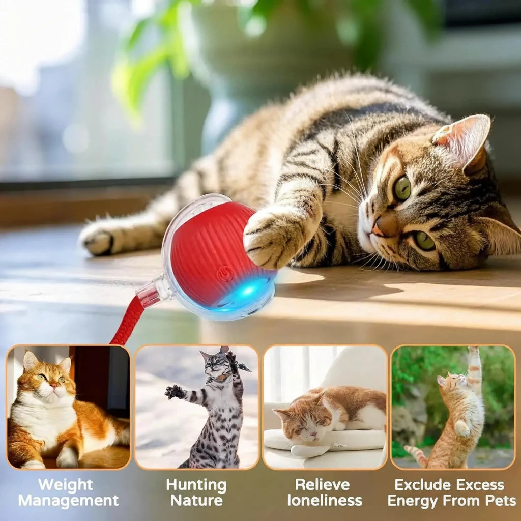 PALLINA AUTOMATICA PER GATTO - GIOCATTOLO INTERATTIVO