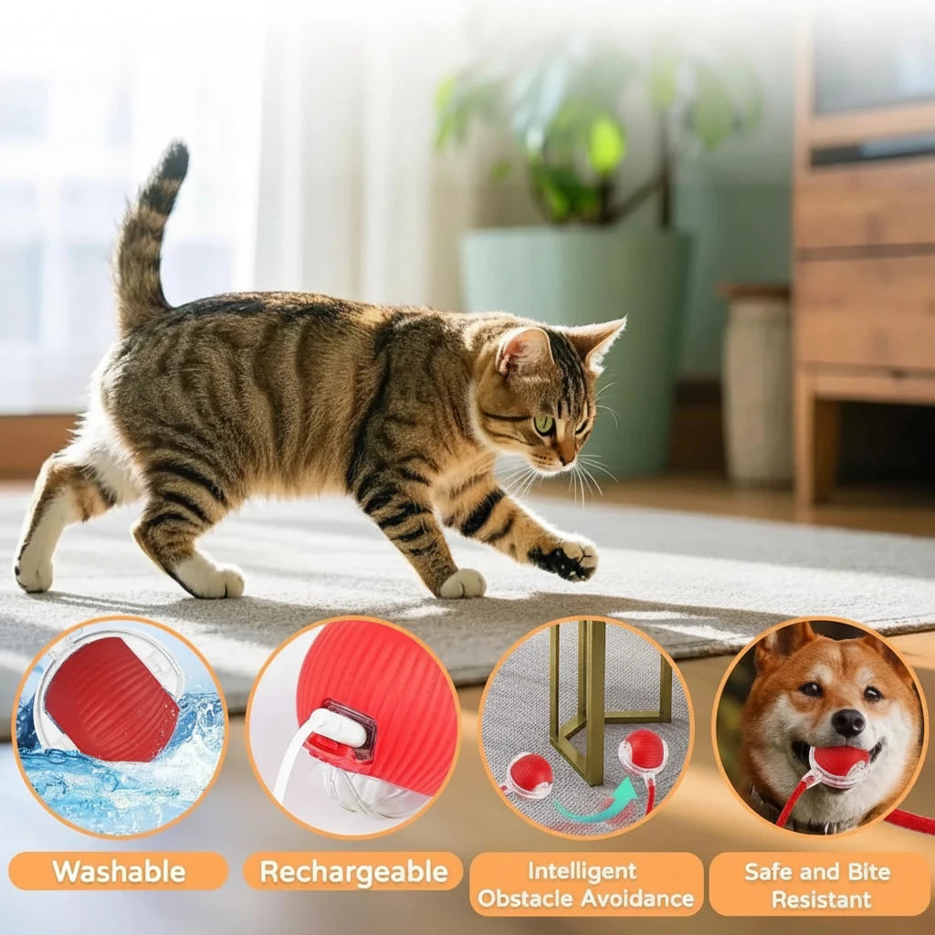 PALLINA AUTOMATICA PER GATTO - GIOCATTOLO INTERATTIVO